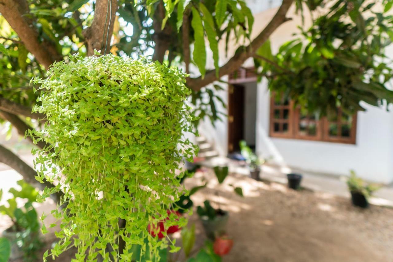 Mango Shade Weligama Apartment Exterior foto