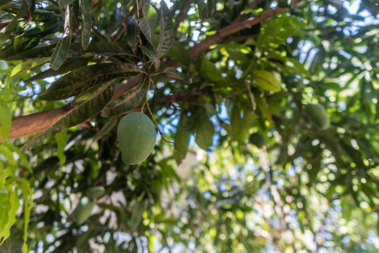 Mango Shade Weligama Apartment Exterior foto